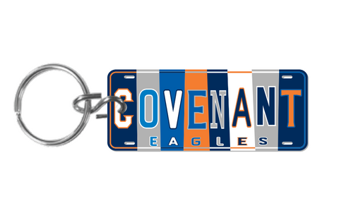 License Plate Keychain