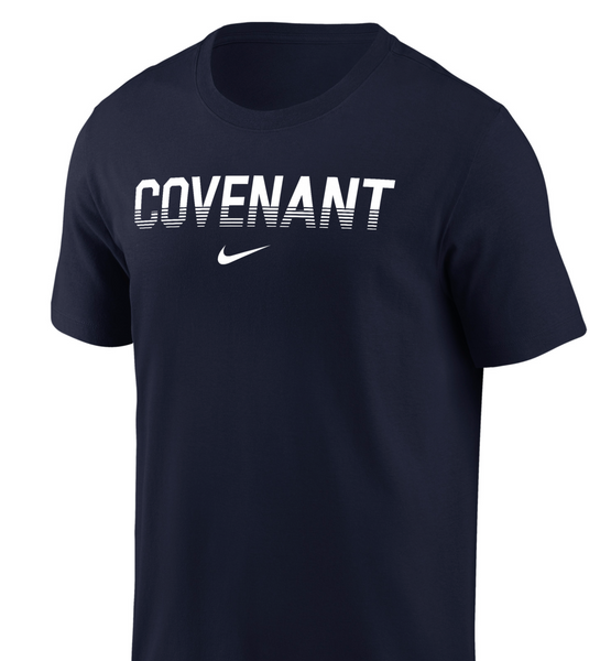 Nike Drifit-Cotton T