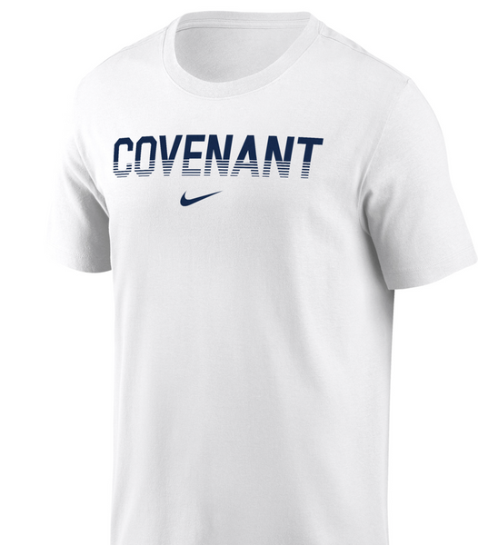 Nike Drifit-Cotton T