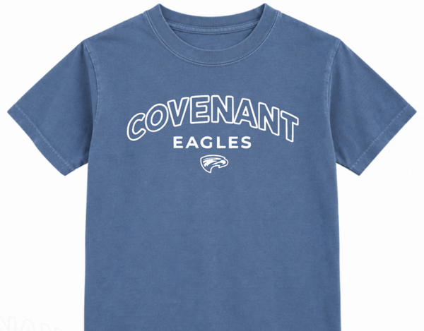Youth Comfort Colors T's