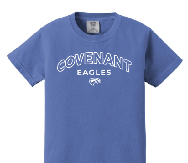 Youth Comfort Colors T's