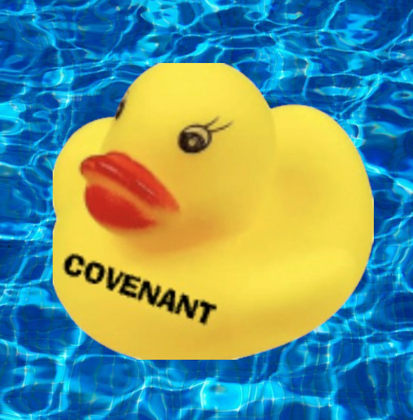 Pre-K Duck Pond