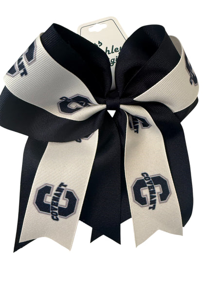 Hair Bows and Headbands