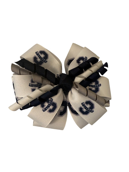 Hair Bows and Headbands